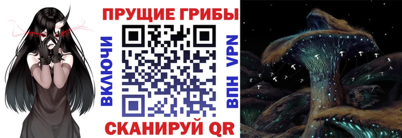 Галлюциногенные грибы Cubensis  гидра как войти  Когалым 
